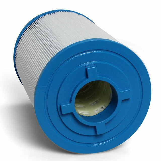 Leisurerite C100 top filter Leisurerite C100 top filter